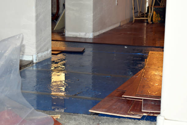 Professional Sewage Cleanup technician working in Poulsbo, WA